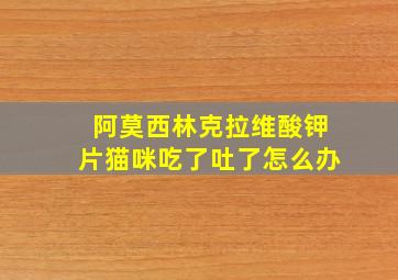 阿莫西林克拉维酸钾片猫咪吃了吐了怎么办