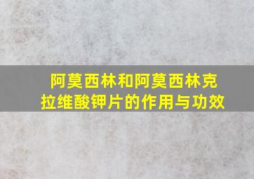 阿莫西林和阿莫西林克拉维酸钾片的作用与功效