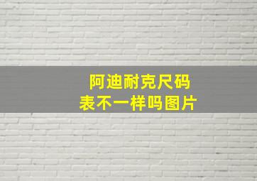 阿迪耐克尺码表不一样吗图片