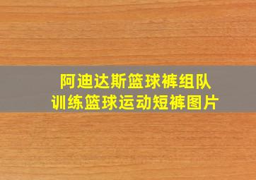 阿迪达斯篮球裤组队训练篮球运动短裤图片