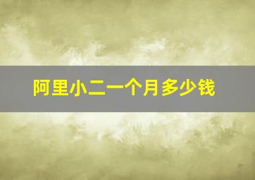 阿里小二一个月多少钱