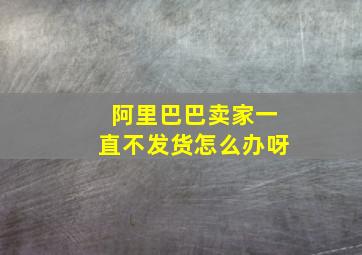 阿里巴巴卖家一直不发货怎么办呀