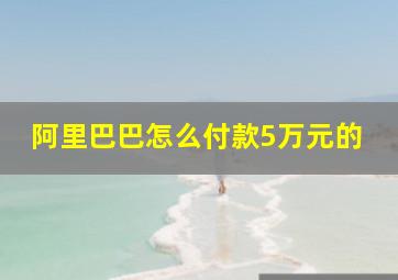 阿里巴巴怎么付款5万元的