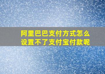 阿里巴巴支付方式怎么设置不了支付宝付款呢