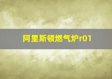 阿里斯顿燃气炉r01