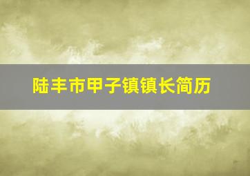 陆丰市甲子镇镇长简历