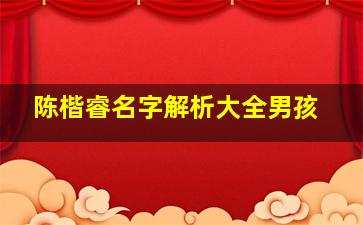 陈楷睿名字解析大全男孩