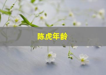 陈虎年龄