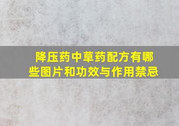 降压药中草药配方有哪些图片和功效与作用禁忌