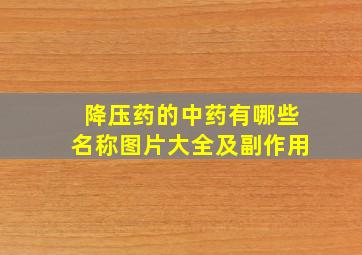 降压药的中药有哪些名称图片大全及副作用