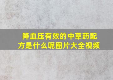 降血压有效的中草药配方是什么呢图片大全视频