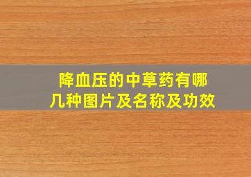 降血压的中草药有哪几种图片及名称及功效