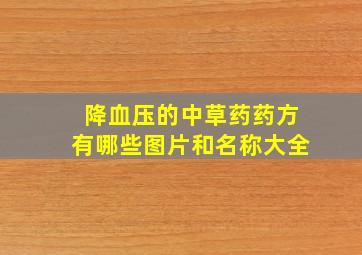 降血压的中草药药方有哪些图片和名称大全