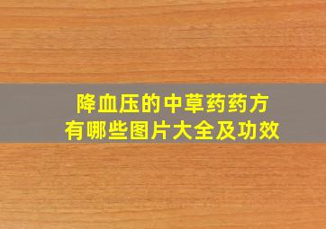 降血压的中草药药方有哪些图片大全及功效