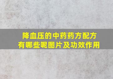 降血压的中药药方配方有哪些呢图片及功效作用