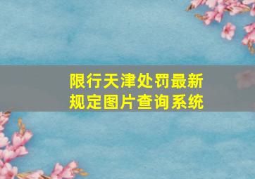 限行天津处罚最新规定图片查询系统