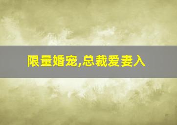 限量婚宠,总裁爱妻入