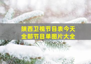 陕西卫视节目表今天全部节目单图片大全