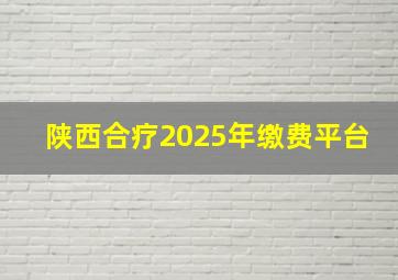 陕西合疗2025年缴费平台