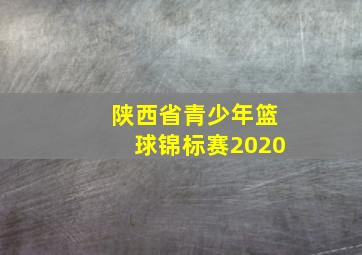 陕西省青少年篮球锦标赛2020