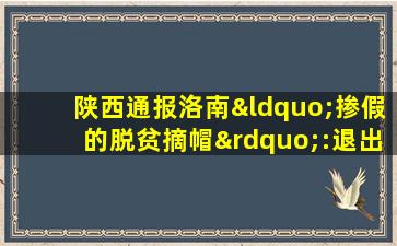 陕西通报洛南“掺假的脱贫摘帽”:退出程序符合要求