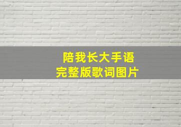 陪我长大手语完整版歌词图片