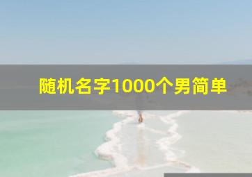 随机名字1000个男简单