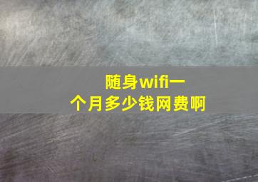 随身wifi一个月多少钱网费啊