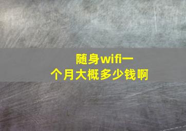 随身wifi一个月大概多少钱啊