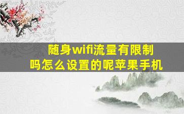 随身wifi流量有限制吗怎么设置的呢苹果手机