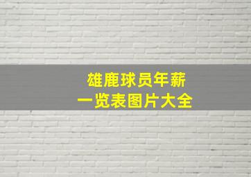 雄鹿球员年薪一览表图片大全