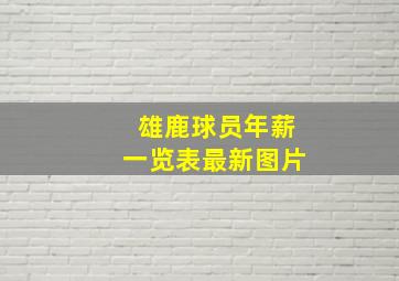 雄鹿球员年薪一览表最新图片