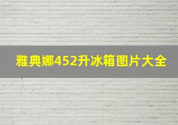 雅典娜452升冰箱图片大全