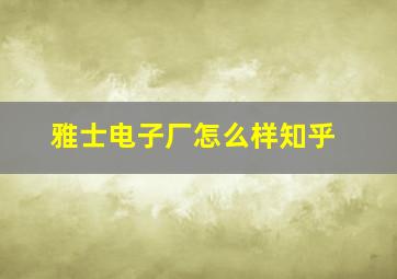 雅士电子厂怎么样知乎