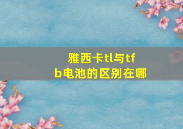 雅西卡tl与tfb电池的区别在哪