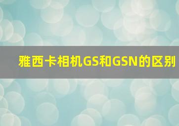 雅西卡相机GS和GSN的区别