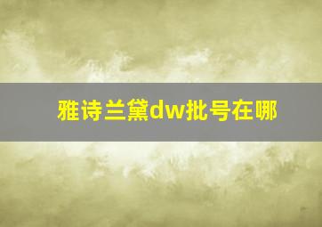 雅诗兰黛dw批号在哪