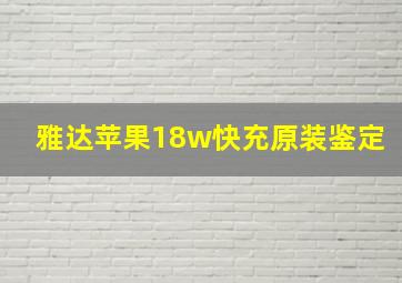 雅达苹果18w快充原装鉴定