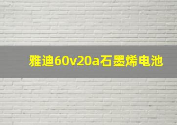 雅迪60v20a石墨烯电池