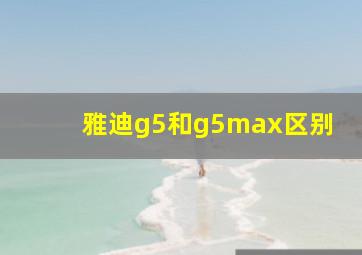 雅迪g5和g5max区别