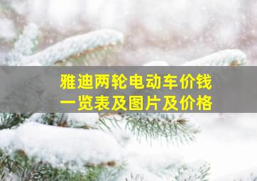 雅迪两轮电动车价钱一览表及图片及价格