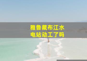 雅鲁藏布江水电站动工了吗