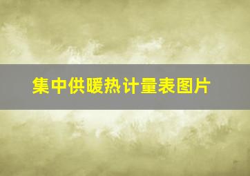 集中供暖热计量表图片