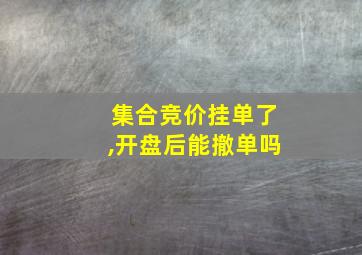 集合竞价挂单了,开盘后能撤单吗