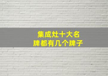 集成灶十大名牌都有几个牌子