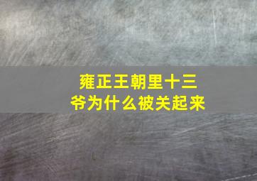 雍正王朝里十三爷为什么被关起来