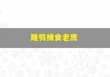 雕鸮捕食老鹰