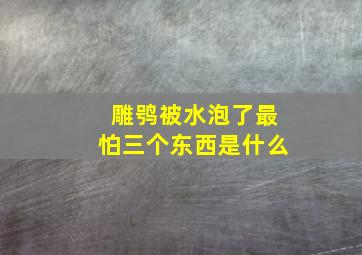 雕鸮被水泡了最怕三个东西是什么