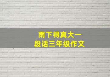 雨下得真大一段话三年级作文