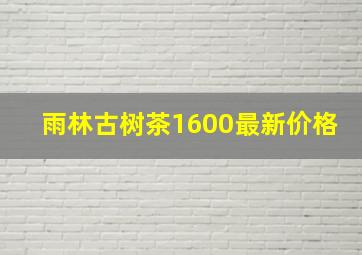 雨林古树茶1600最新价格